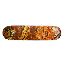 Maple tree foliage skate boards