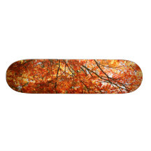 Maple tree foliage skate boards