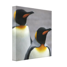 Marching Penguins Canvas Print