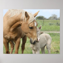 Mare and Foal Print
