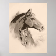 Mare-n-Foal with charcoal effect-tint Poster