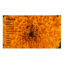 Marigold Business Card Template