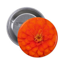 Marigold Buttons