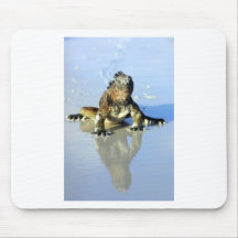 Marine iguana Galapagos Mousepad