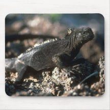 Marine Iguana Mousepads