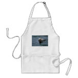 Marine Iguana Swimming Out To Feed Apron