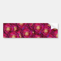 Maroon pink roses bumper stickers