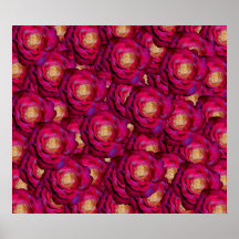 Maroon pink roses print