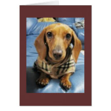 marron08 cards