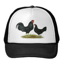 Marsh Daisy Chickens Hat