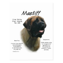 Mastiff (apricot) History Design Post Card
