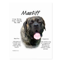 Mastiff (brindle) History Design Postcards