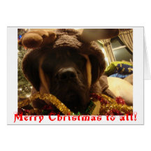 Mastiff Christmas Card