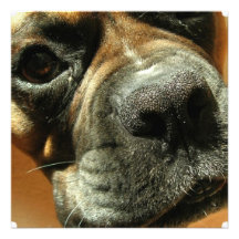 Mastiff Dog Invitation