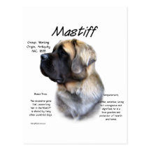 Mastiff (fawn fluffy) History Design Postcards