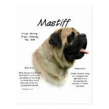 Mastiff (fawn) History Design Post Cards