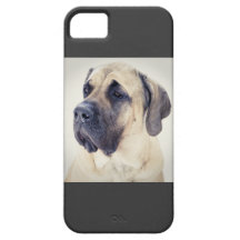 Mastiff iPhone5 Case