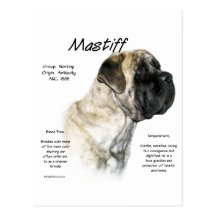 Mastiff (light brindle) History Design Post Cards