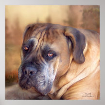 Mastiff Portrait Fine Art Poster/Print