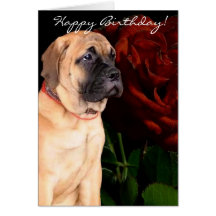 Mastiff puppy and rose Birthday greeting card