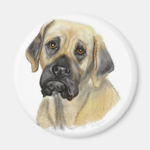 Mastiff Refridgerator magnet