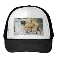 Mastiff Trucker Hats