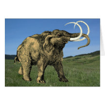Mastodon Card