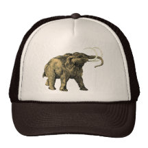 Mastodon Hat