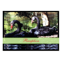 Mates for Life Black Swans Enclosure Card Business Cards