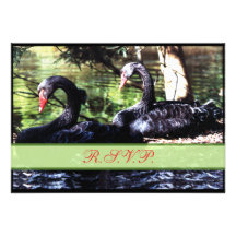 Mates for Life Black Swans Reply Card Custom Invite