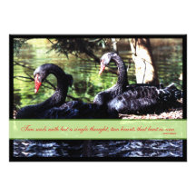 Mates for Life Black Swans Wedding Invitation