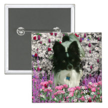 Matisse in Flowers - White & Black Papillon Dog Buttons