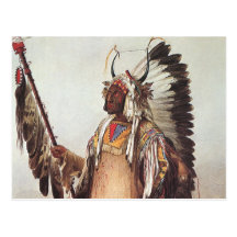 Mato-Tope, A Mandan Chief Portrait by Karl Bodmer Postcard