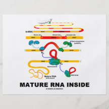 Mature RNA Inside Full Colour Flyer