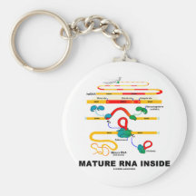 Mature RNA Inside Key Chains