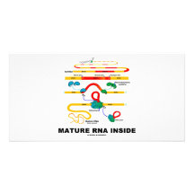 Mature RNA Inside Personalised Photo Card