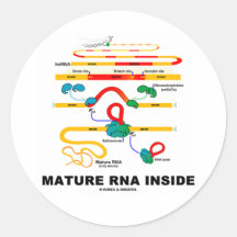 Mature RNA Inside Round Stickers
