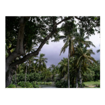 Mauna Lani Hotel pond on the Big Island Postcard