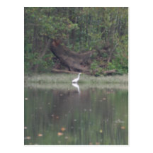 maury river postcards
