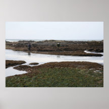 Mavericks Print