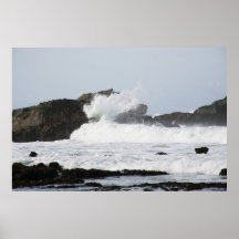 Mavericks Print