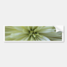 May Flowers #2 Bumper Stickers