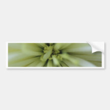 May Flowers Bumper Sticker