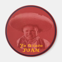 McCain Magnet
