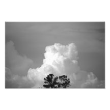Me and My Shadow Photographic Print