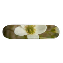 Meadow Saxifrage Skate Board