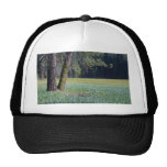 Meadows Moss Trees Trucker Hat