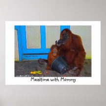 Mealtime with Mummy Orangutan Posters