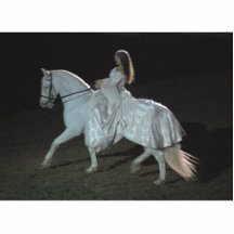 Mediaeval Fantasy - photo sculpture