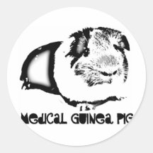 Medical Guinea Pig Sticker